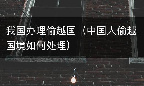 我国办理偷越国（中国人偷越国境如何处理）