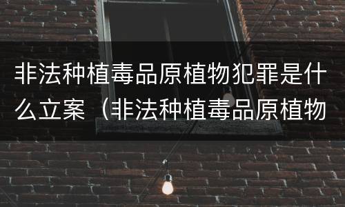 非法种植毒品原植物犯罪是什么立案（非法种植毒品原植物量刑）