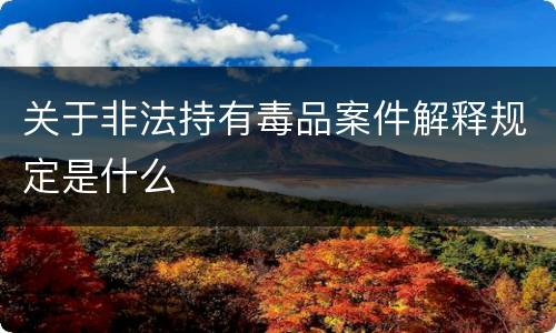 关于非法持有毒品案件解释规定是什么