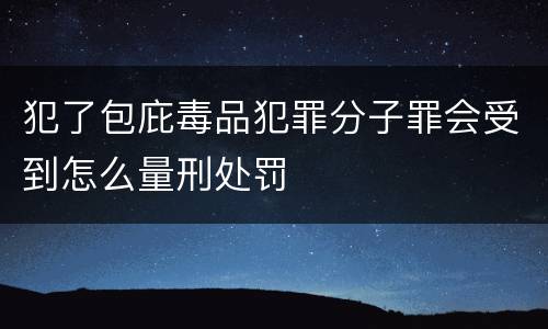 犯了包庇毒品犯罪分子罪会受到怎么量刑处罚