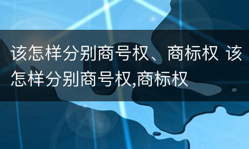 该怎样分别商号权、商标权 该怎样分别商号权,商标权
