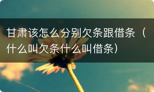 甘肃该怎么分别欠条跟借条（什么叫欠条什么叫借条）