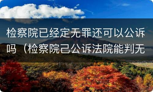 检察院已经定无罪还可以公诉吗（检察院己公诉法院能判无罪吗）