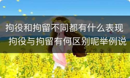 拘役和拘留不同都有什么表现 拘役与拘留有何区别呢举例说明
