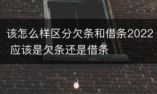 该怎么样区分欠条和借条2022 应该是欠条还是借条
