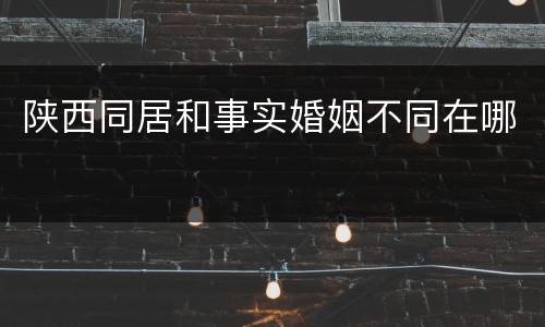 陕西同居和事实婚姻不同在哪