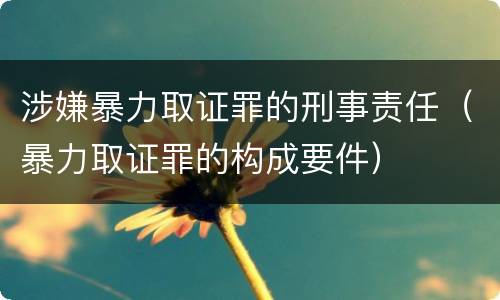 涉嫌暴力取证罪的刑事责任（暴力取证罪的构成要件）