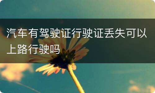 汽车有驾驶证行驶证丢失可以上路行驶吗