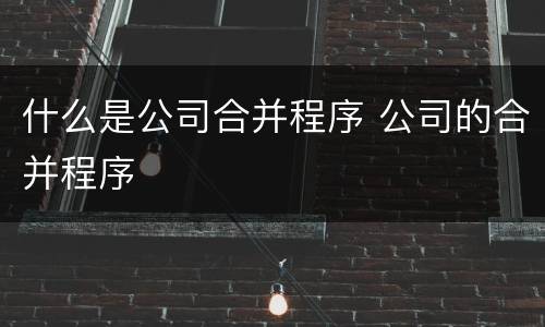 什么是公司合并程序 公司的合并程序