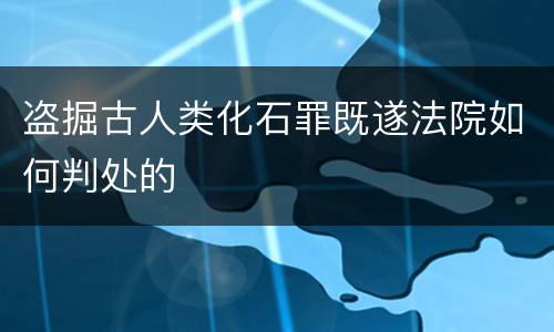 盗掘古人类化石罪既遂法院如何判处的