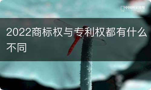 2022商标权与专利权都有什么不同