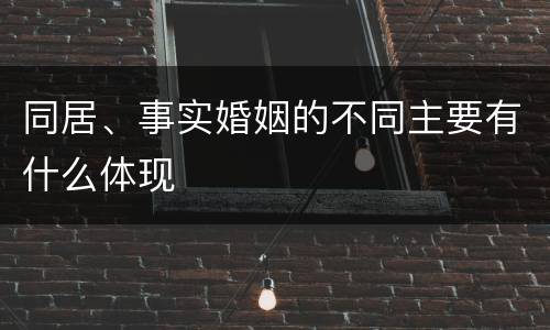 同居、事实婚姻的不同主要有什么体现