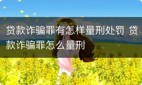 贷款诈骗罪有怎样量刑处罚 贷款诈骗罪怎么量刑