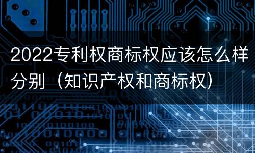 2022专利权商标权应该怎么样分别（知识产权和商标权）