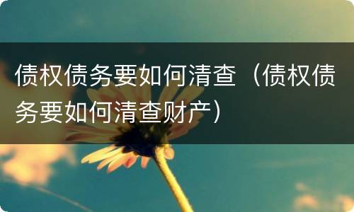 债权债务要如何清查（债权债务要如何清查财产）
