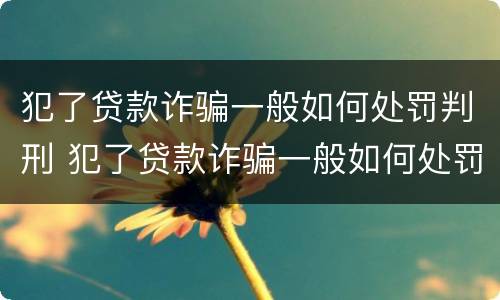 犯了贷款诈骗一般如何处罚判刑 犯了贷款诈骗一般如何处罚判刑的