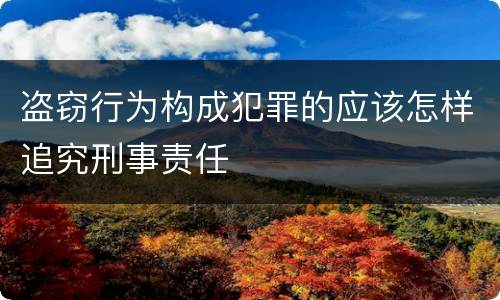 盗窃行为构成犯罪的应该怎样追究刑事责任