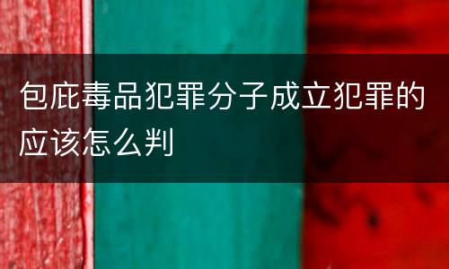 包庇毒品犯罪分子成立犯罪的应该怎么判