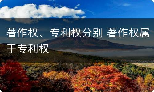 著作权、专利权分别 著作权属于专利权