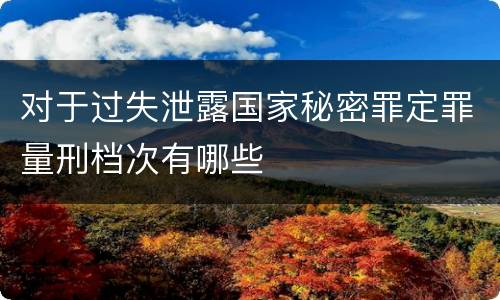 对于过失泄露国家秘密罪定罪量刑档次有哪些