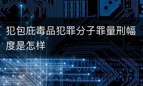 犯包庇毒品犯罪分子罪量刑幅度是怎样