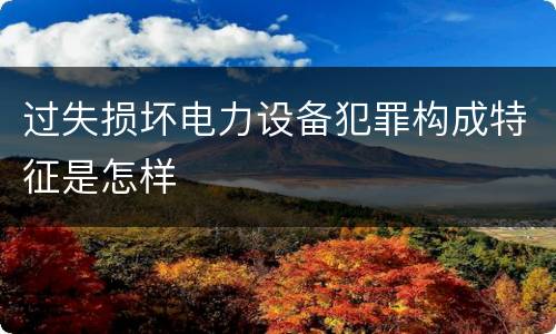 过失损坏电力设备犯罪构成特征是怎样