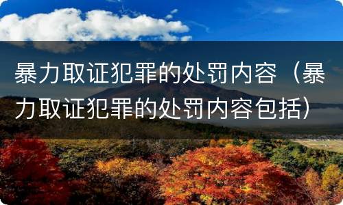 暴力取证犯罪的处罚内容（暴力取证犯罪的处罚内容包括）