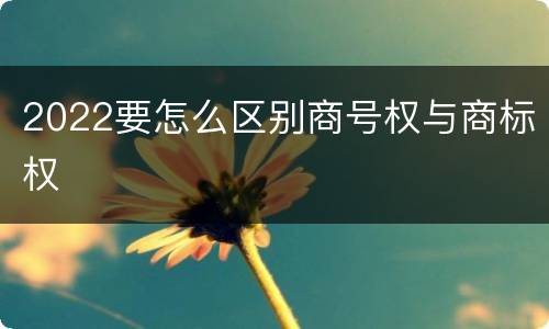 2022要怎么区别商号权与商标权