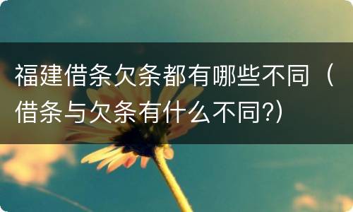 福建借条欠条都有哪些不同（借条与欠条有什么不同?）