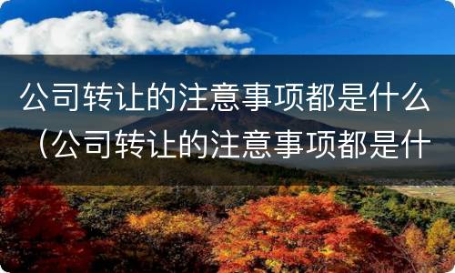 公司转让的注意事项都是什么（公司转让的注意事项都是什么呢）