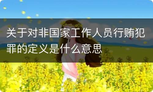 关于对非国家工作人员行贿犯罪的定义是什么意思
